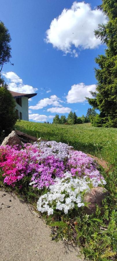 Sirovka Villa Horní Polubný Kültér fotó